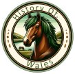 History of Wales
